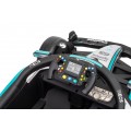 Vehicle AMG PETRONAS F1 Black Racing Car