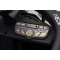 Vehicle AMG PETRONAS F1 Black Racing Car