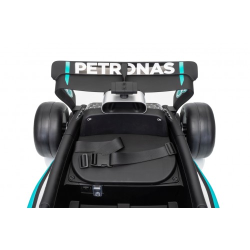 Vehicle AMG PETRONAS F1 Black Racing Car