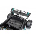 Vehicle AMG PETRONAS F1 Black Racing Car