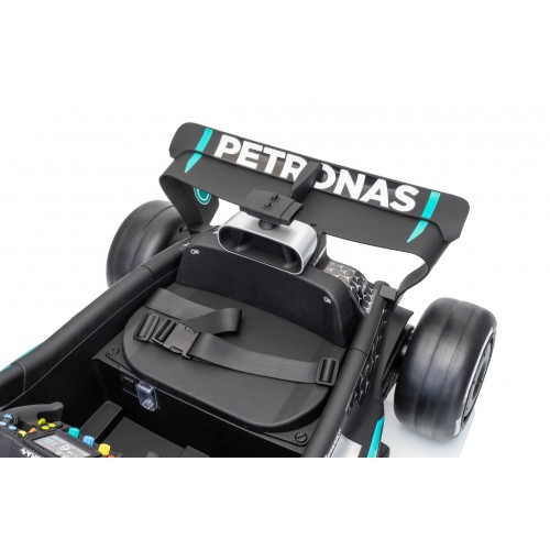 Vehicle AMG PETRONAS F1 Black Racing Car