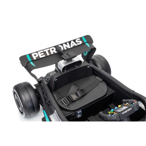 Vehicle AMG PETRONAS F1 Black Racing Car