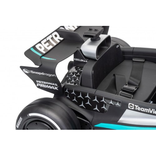 Vehicle AMG PETRONAS F1 Black Racing Car