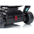 Vehicle AMG PETRONAS F1 Black Racing Car