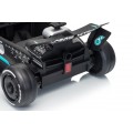 Vehicle AMG PETRONAS F1 Black Racing Car
