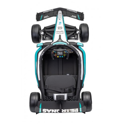Vehicle AMG PETRONAS F1 Black Racing Car