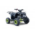 WILDPEAK 110cc Green Gasoline Quad Bike