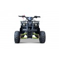 WILDPEAK 110cc Green Gasoline Quad Bike