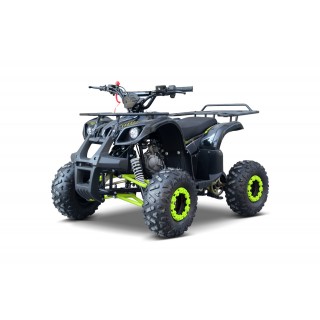 WILDPEAK 110cc Green Gasoline Quad Bike