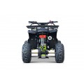 WILDPEAK 110cc Green Gasoline Quad Bike