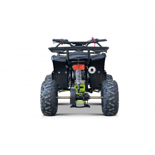 WILDPEAK 110cc Green Gasoline Quad Bike