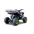 WILDPEAK 110cc Green Gasoline Quad Bike