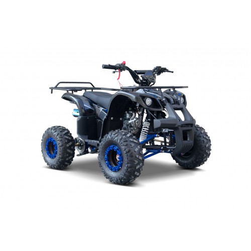 WILDPEAK 110cc Blue Combustion Quad Bike