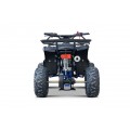 WILDPEAK 110cc Blue Combustion Quad Bike