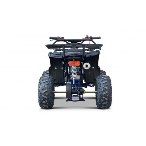 WILDPEAK 110cc Blue Combustion Quad Bike