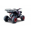 WILDPEAK 110cc Red Combustion Quad Vehicle
