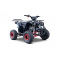 WILDPEAK 110cc Red Combustion Quad Vehicle
