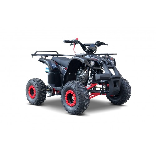 WILDPEAK 110cc Red Combustion Quad Vehicle