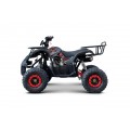 WILDPEAK 110cc Red Combustion Quad Vehicle