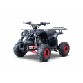 WILDPEAK 110cc Red Combustion Quad Vehicle