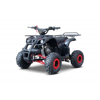 WILDPEAK 110cc Red Combustion Quad Vehicle