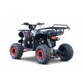 WILDPEAK 110cc Red Combustion Quad Vehicle