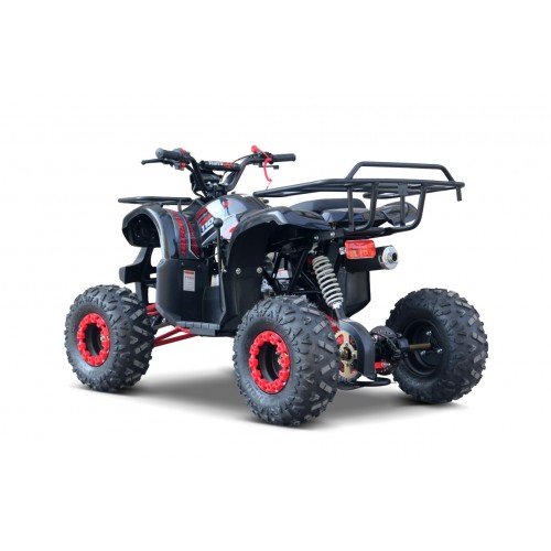 WILDPEAK 110cc Red Combustion Quad Vehicle