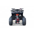 WILDPEAK 110cc Red Combustion Quad Vehicle