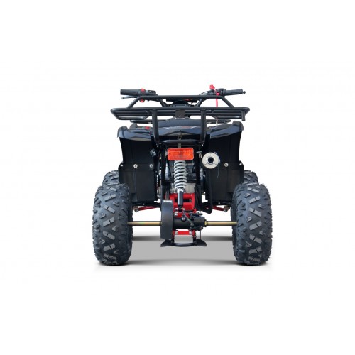 WILDPEAK 110cc Red Combustion Quad Vehicle