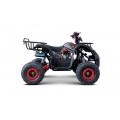 WILDPEAK 110cc Red Combustion Quad Vehicle