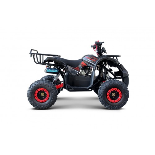 WILDPEAK 110cc Red Combustion Quad Vehicle