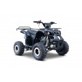 WILDPEAK 110cc Black Combustion Quad Vehicle