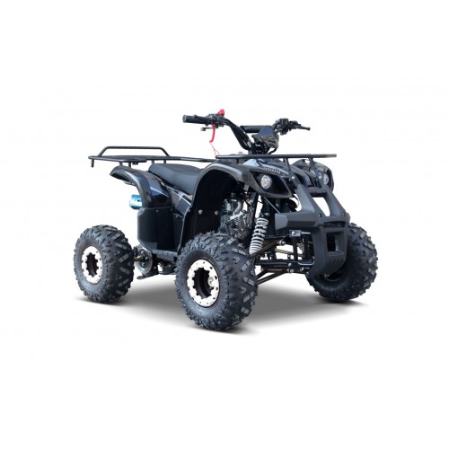 WILDPEAK 110cc Black Combustion Quad Vehicle