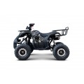 WILDPEAK 110cc Black Combustion Quad Vehicle