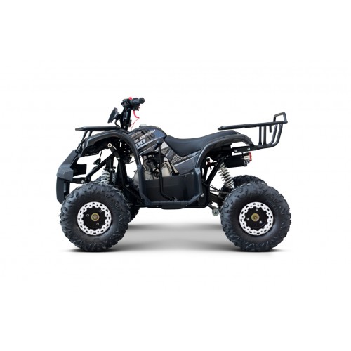 WILDPEAK 110cc Black Combustion Quad Vehicle