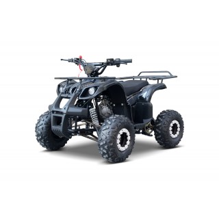 WILDPEAK 110cc Black Combustion Quad Vehicle