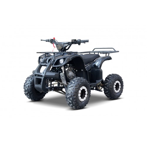 WILDPEAK 110cc Black Combustion Quad Vehicle