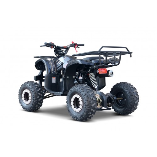 WILDPEAK 110cc Black Combustion Quad Vehicle