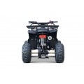 WILDPEAK 110cc Black Combustion Quad Vehicle
