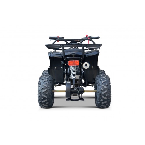 WILDPEAK 110cc Black Combustion Quad Vehicle