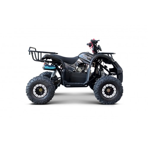 WILDPEAK 110cc Black Combustion Quad Vehicle