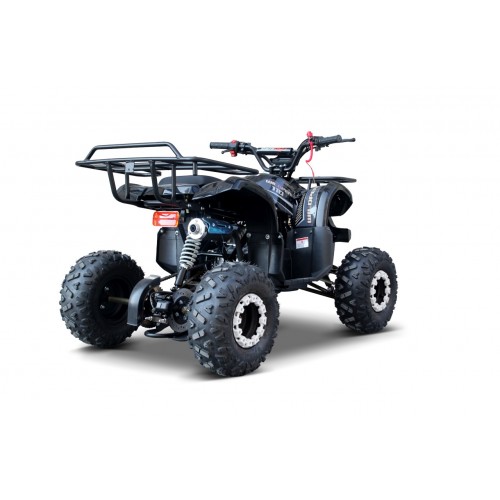 WILDPEAK 110cc Black Combustion Quad Vehicle