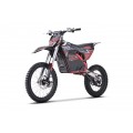 Electric Motor Vehicle POWER TRAIL Red