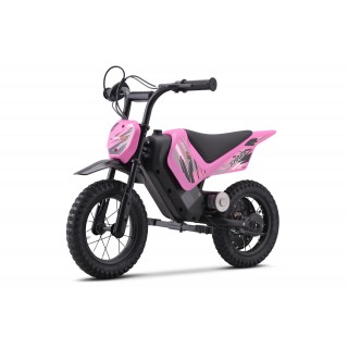 Electric Motor Vehicle SHARK Pink