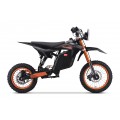 Electric Motor Vehicle E-RIDER X Black