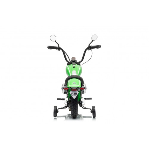 Vehicle Motor BMW R18 Green