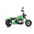 Vehicle Motor BMW R18 Green