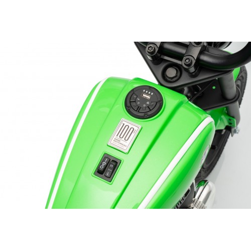 Vehicle Motor BMW R18 Green