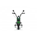 Vehicle Motor BMW R18 Green