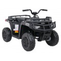 Quad Vehicle 4x4 ATV WOLF  Black